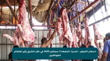 أسعار اللحوم.. تحديث الجمعة 5 سبتمبر 2025 في كفر الشيخ يثير اهتمام المواطنين